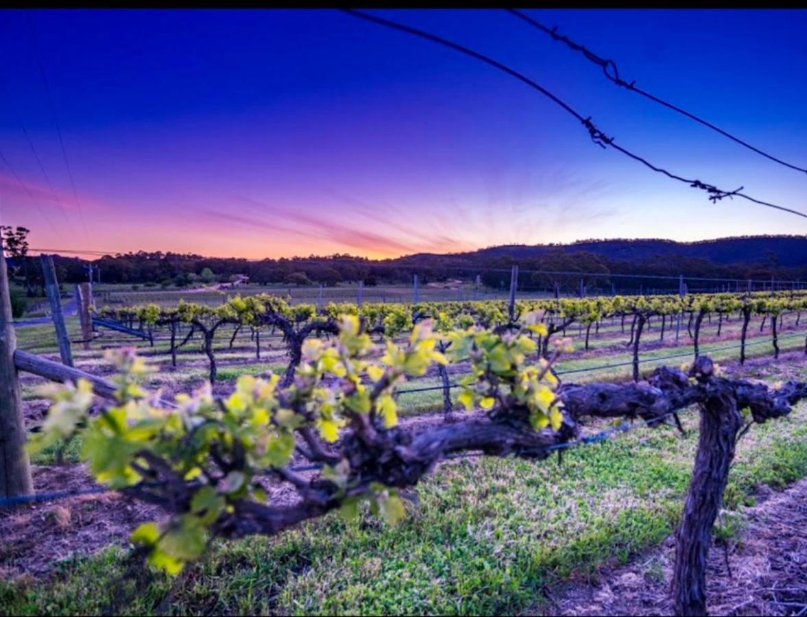 Appartamento #Grampians Views Getaway #Cbd #Netflix Stawell Esterno foto